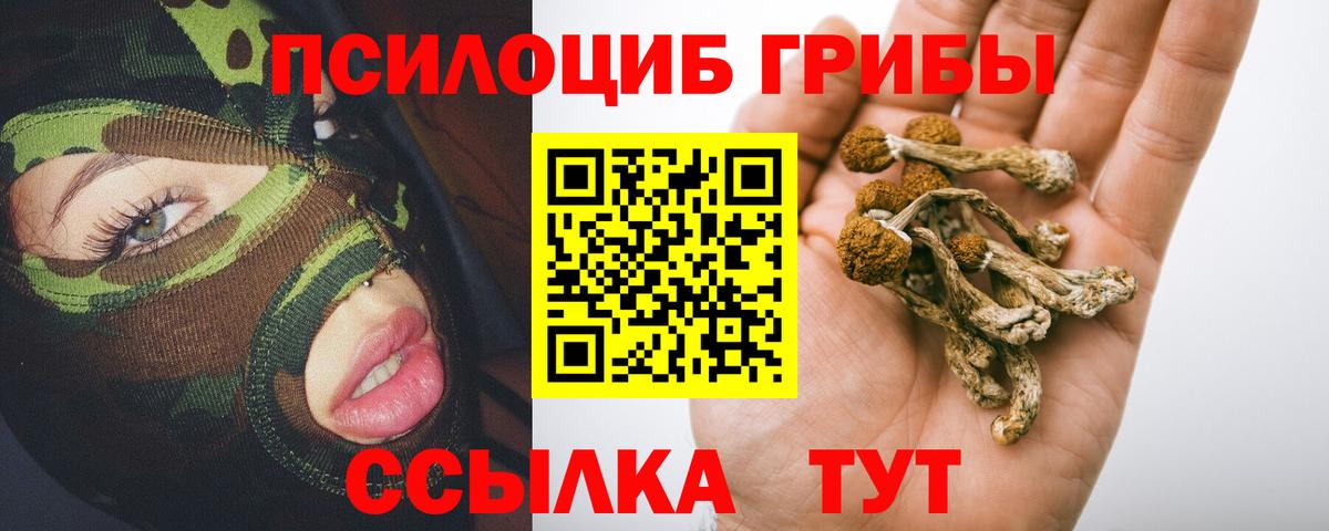 Псилоцибиновые грибы Psilocybine cubensis  Вход с VPN  Псилоцибиновые грибы Psilocybine cubensis  купить   Луховицы 